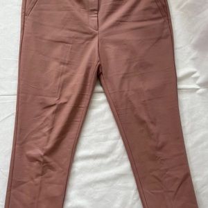 Mauve Ann Taylor Pants  (16)